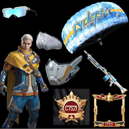 绝地求生国际服凛冬极境(PUBG MOBILE)