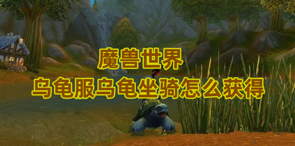 魔兽世界乌龟服乌龟坐骑怎么获得
