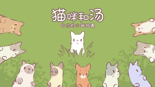 猫咪和汤官方正版