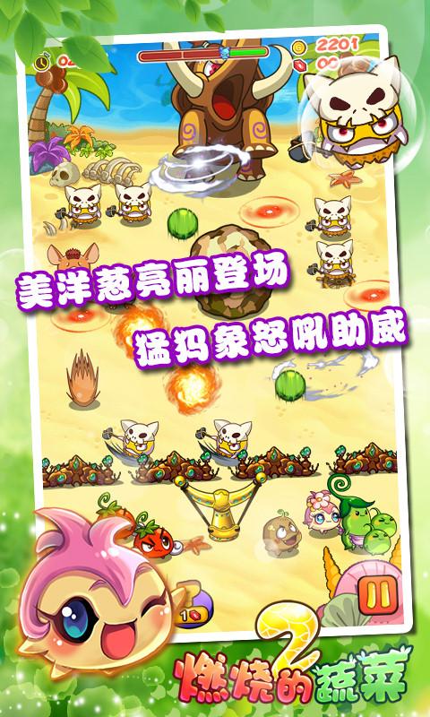 燃烧的蔬菜2免费版