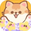 代号猫猫游戏