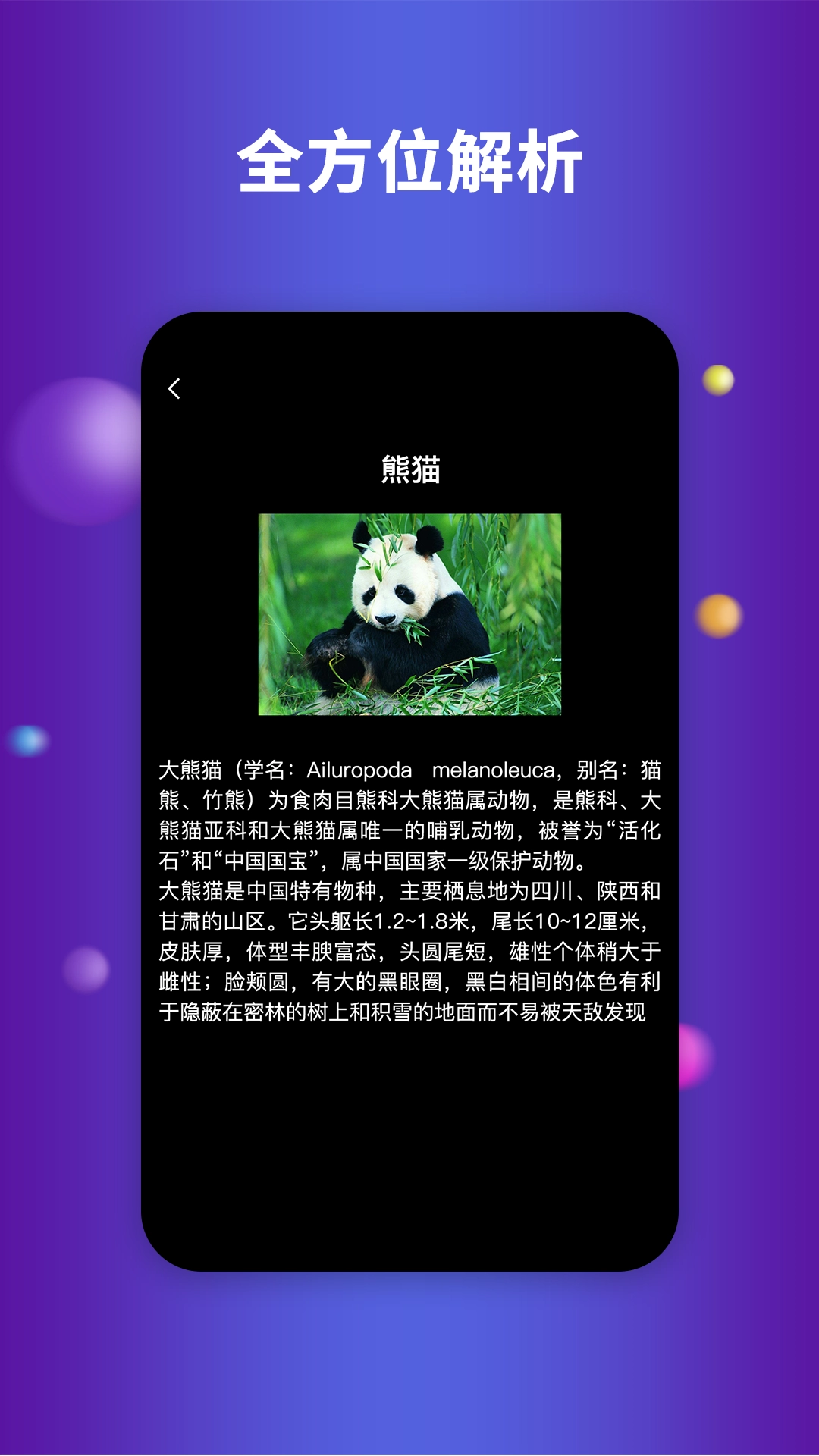 Earth地球最新版2023截图3