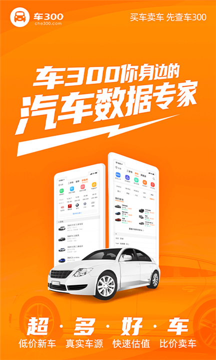 车300二手车app