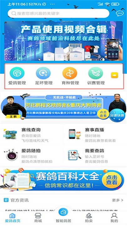 爱鸽者app