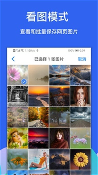 alook浏览器手表版截图