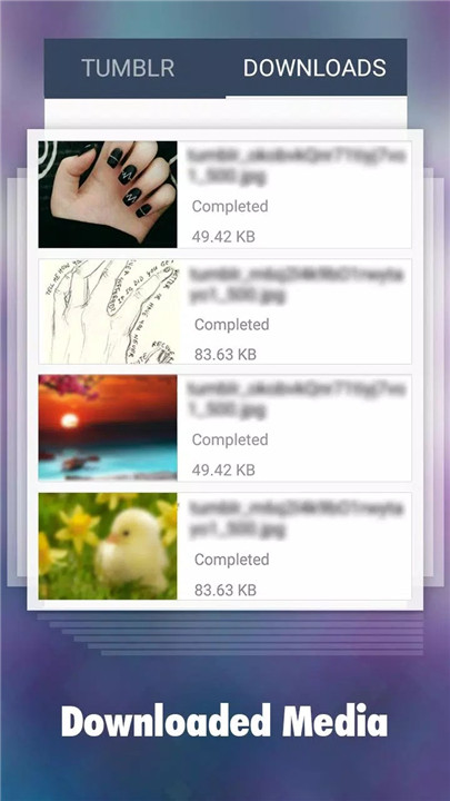 Tumblr的下载器app