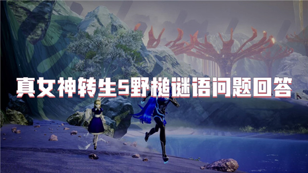 ��Ů��ת��5Ұ���������ش�