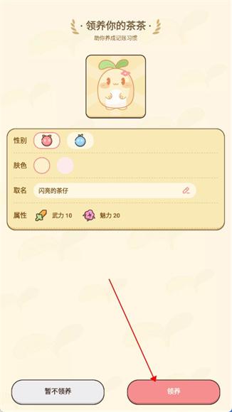 茶茶记账App