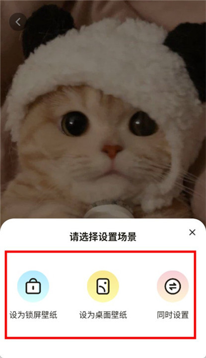 青藤壁纸app手机版截图