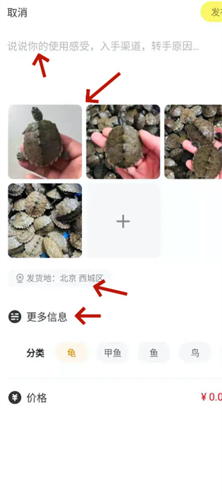 手机闲鱼app