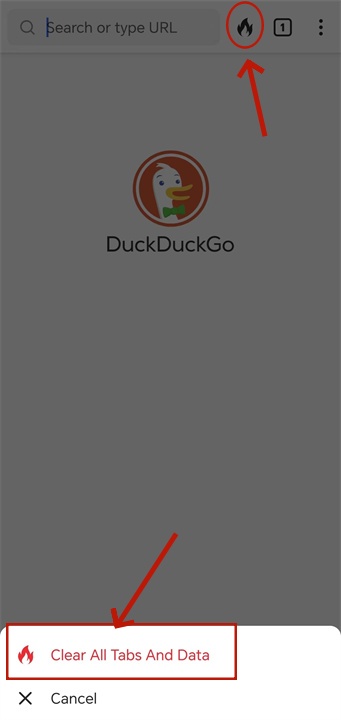 DuckDuckGo手机版