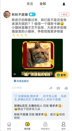 哈啰街猫app下载安装