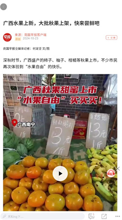 南国早报app下载安装