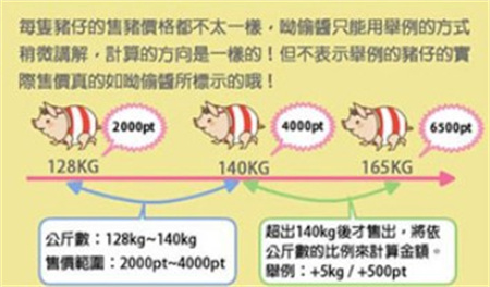 养猪场下载