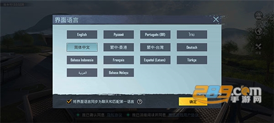 pubg国际服手机版