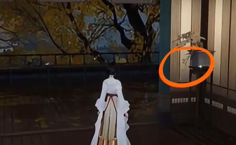 射雕手游梦华录长庆楼怎么收集