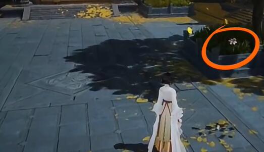 射雕手游梦华录长庆楼怎么收集