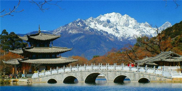 旅游出行工具 