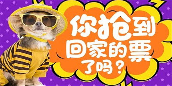 春节抢票 