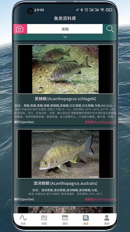 潮汐精灵