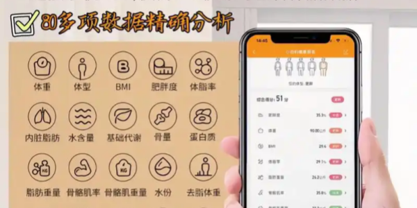 体脂秤 