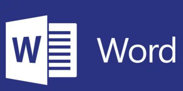 word文档 