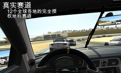 Real Racing3