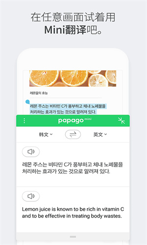 Papago翻译