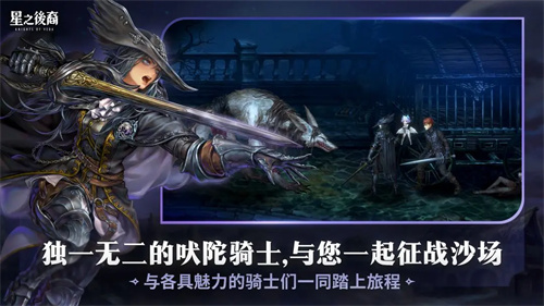 星之后裔国际版