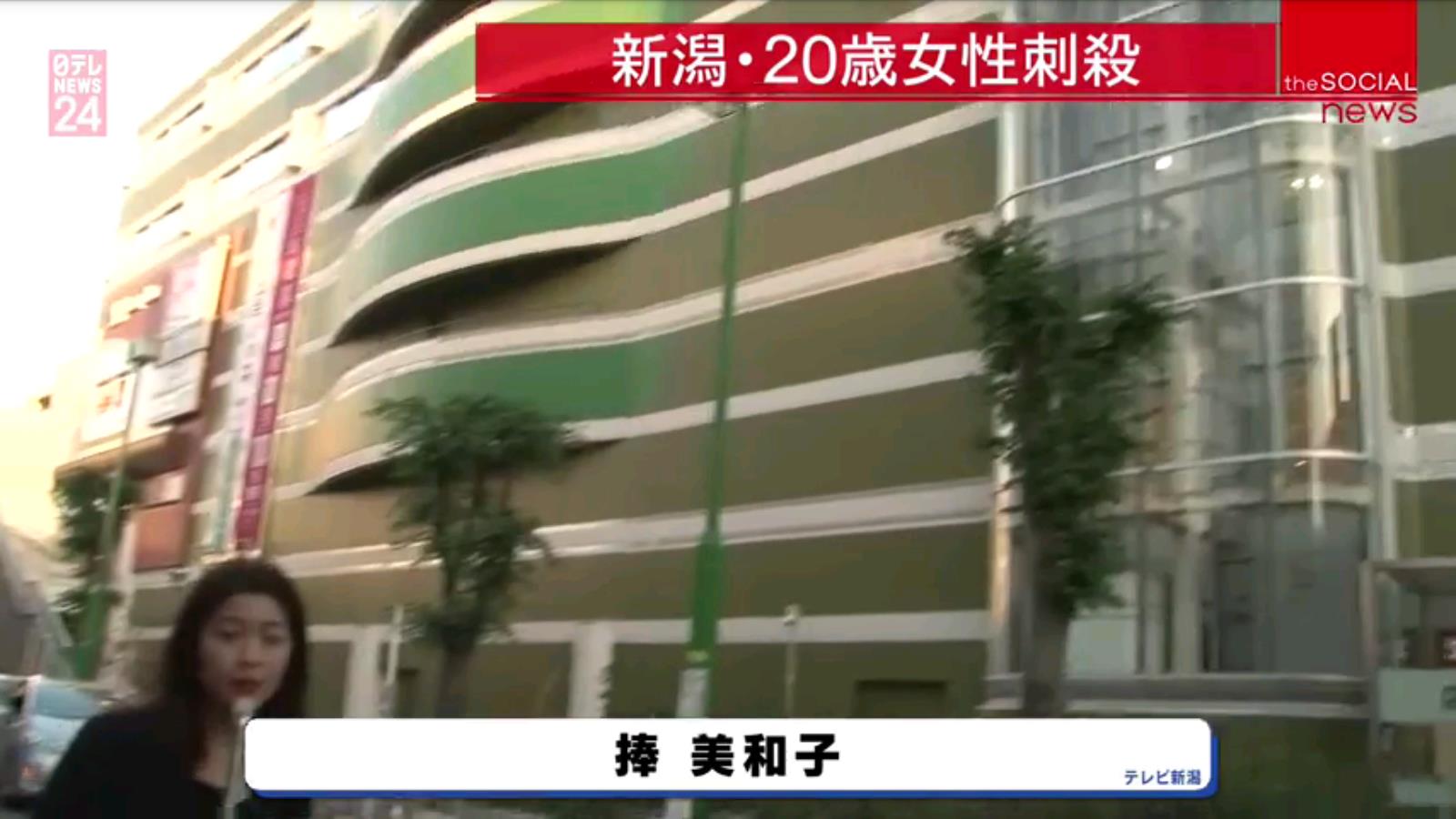 大视界安卓版
