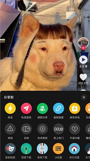 逗音小能手2.0.7截图2
