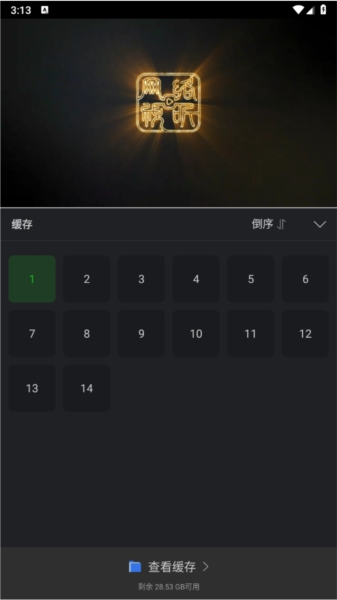 狮子影评