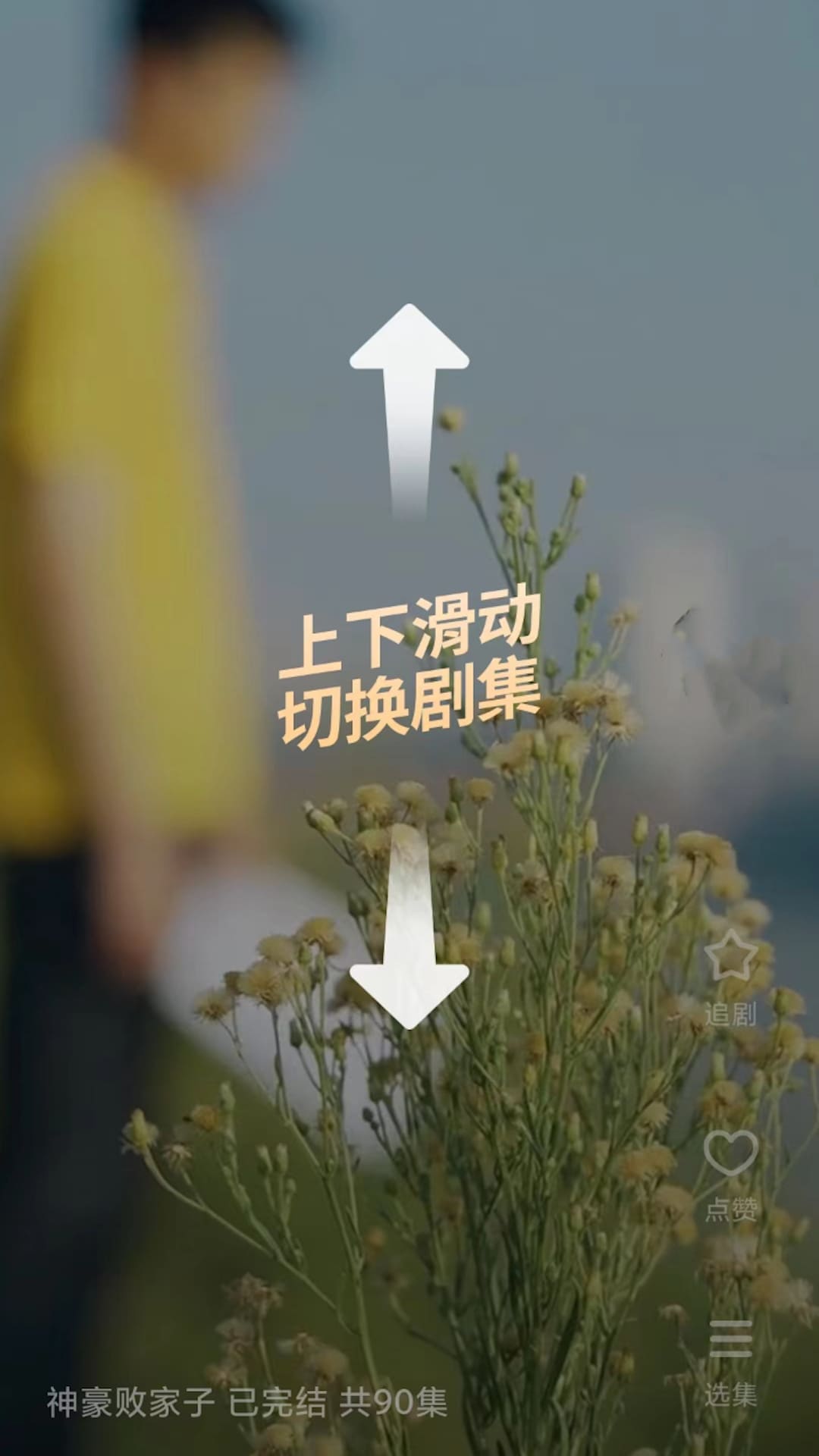 番茄短剧永久VIP版截图3