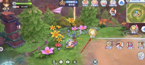 《仙境传说新啟航》奧秘之花獲取方法