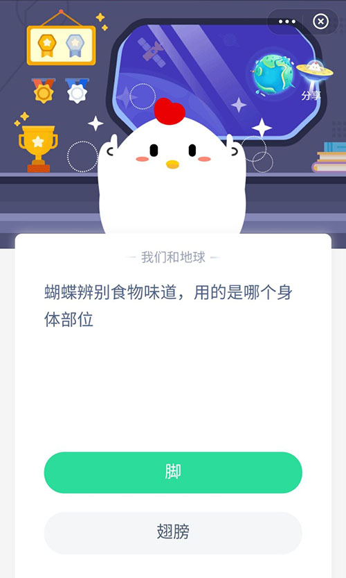 蝴蝶辨别食物味道用的是哪个身体部位 支付宝蚂蚁庄园10月12日答案