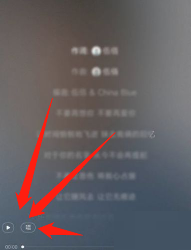 《网易云音乐》唱歌方法