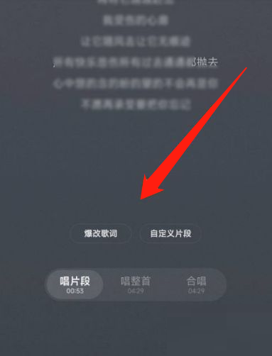 《网易云音乐》唱歌方法