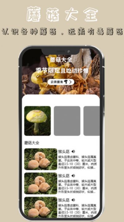 蘑菇识别高手app手机版