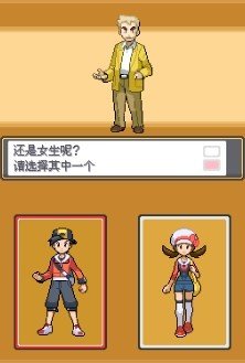 口袋妖怪心金汉化版