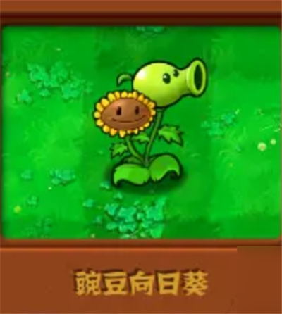 pvz杂交版