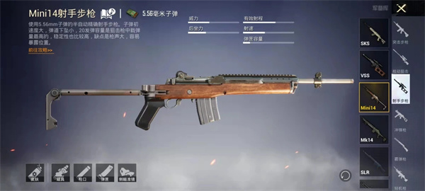 PUBG国际服兼容版