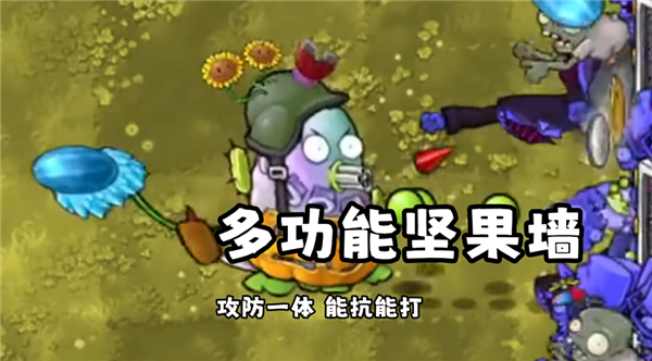 植物大战僵尸无敌版