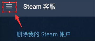 steam超级蒸汽