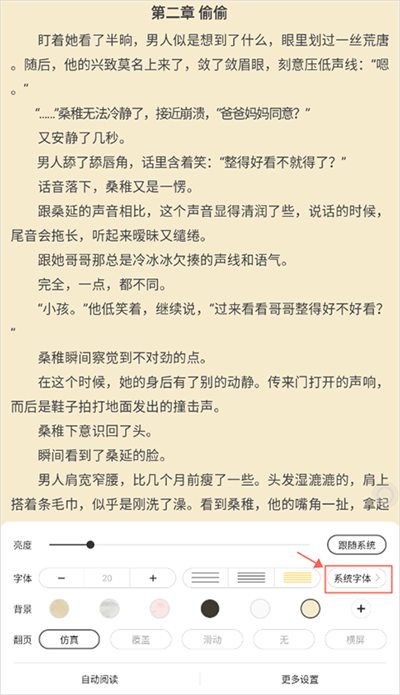 小白阅读器