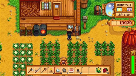 Stardew valley