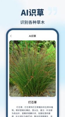 智能识别全能王APP官方版