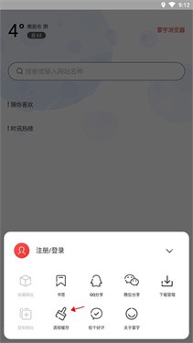 寰宇浏览器app