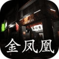 孙美琪疑案金凤凰1.0.0