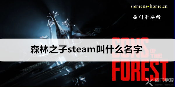 森林之子steam叫什么名字