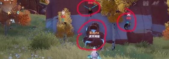 幻塔藤壺分布位置介紹